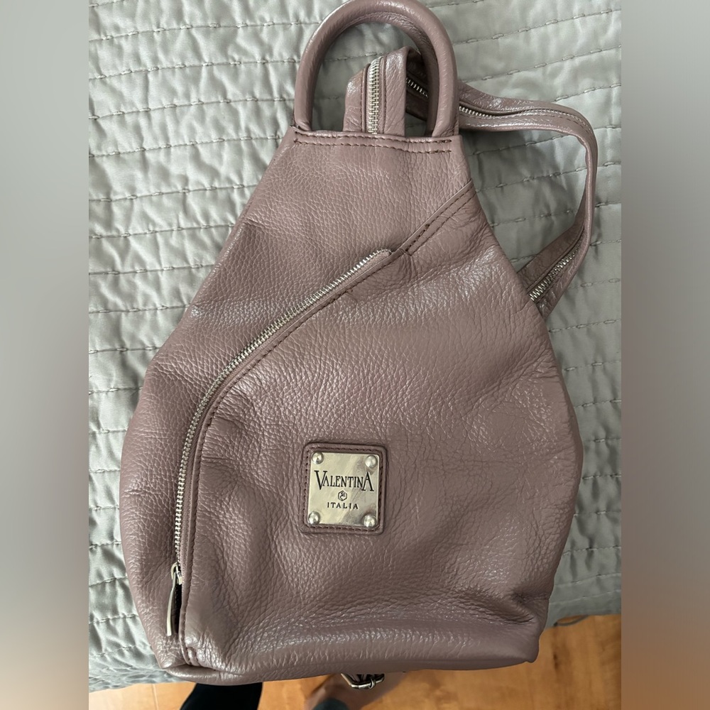 Travel backpack purse.